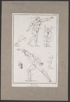 Proportions of a Gladiator (Proportions du Gladiateur)