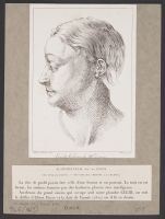 A head in profile