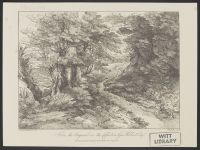 Landscape with Tree and Narrow Path