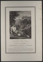 John the Baptist in the Desert (St. Jean au désert)