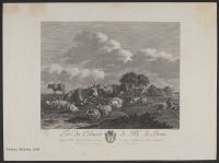Landscape with cows and sheep