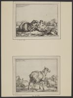 Two sheep resting in a landscape