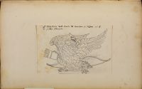 Page in an album