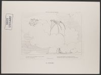 The Region of Smoke, Purgatorio Canto 16, Plate 20