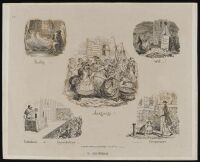 Plate 5 Language!