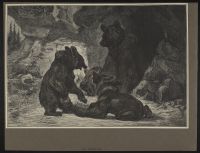 Une Famille d'Ours