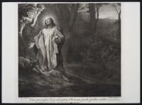 Jesus when he came unto the Mount of Olives, knelt down and Prayed (Cum pervenisset Jesus ad montem Olivarum, positis genibus orabat)