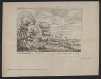 River landscape