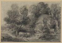 Wooded landscape with cottage among trees