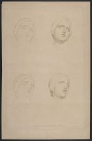 Studies of Female Heads from Antique Sculpture