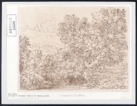 Landscape with trees and a nude woman sat by a pool