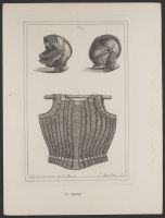 A helmet found in Bosworth-field and a cuirass said to have belonged to Henry VIII