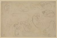 Studies of felines