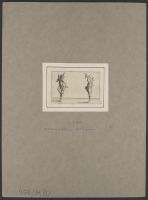 The two pantalons regarding (les deux pantalons se regardant)