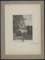 Landscape with a white horse