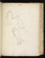 The Johnson Manuscript (manuscript transcript of the Rubens Pocketbook ...