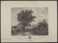 River landscape