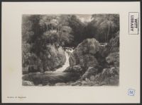 Near Dolgelly (Dolgellau)