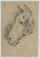 Head of a horse