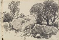 Boulders and trees