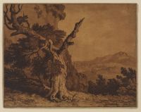 A blasted tree in a landscape