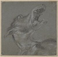 Snarling head of a wolf-hound
