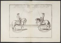 Au pas, la longeur du Cheval à Droite