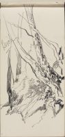 Birch Trees on a Slope (recto)