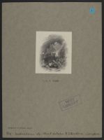 O'Connor's Child