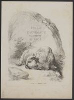 Cover Page for Études d'Animaux dessinées par H. Roos (plate 1)