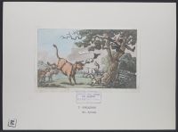 Doctor Syntax pursued by a bull