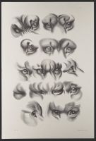 Studies of eyes