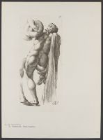 Rear view of one of Laocoon's sons Plate 56 from Signorum veterum icones, 100 plates plus  title-page, of etchings after classical sculpture, dedicated to  Johannes Wtenbogaard and Constantijn Huygens