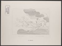 Limbo, Purgatorio Canto 7, Plate 10
