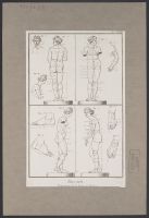 Proportions of  the Venus de' Medici (Proportions de la Venus de Medicis)