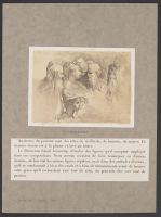 A group of head studies, including men, women and satyrs