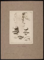 Studies of lips