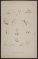 Hands and Feet from Bernini, Roubilliac, Michael Angelo, and the  Antique.