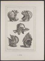 Two views of DeCourcy's helmet, the head-piece of Oliver Cromwell and a tilting helmet in two different positions