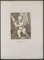 Cupid Holding a Dove