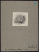 A Hurricaine in the Desert (The Simoom)