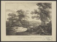Landscape with cattle