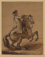 Horse and rider