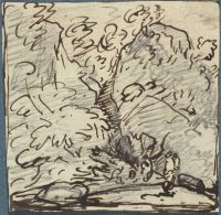 Page in an album