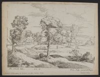 Landscape with trees