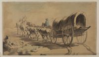 Wagon drawn by oxen and horses