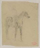Study of a horse and jockey