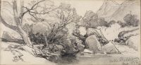 Banks of a river, with trees and boulders
