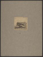 Two cows facing left