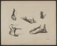 Studies of feet